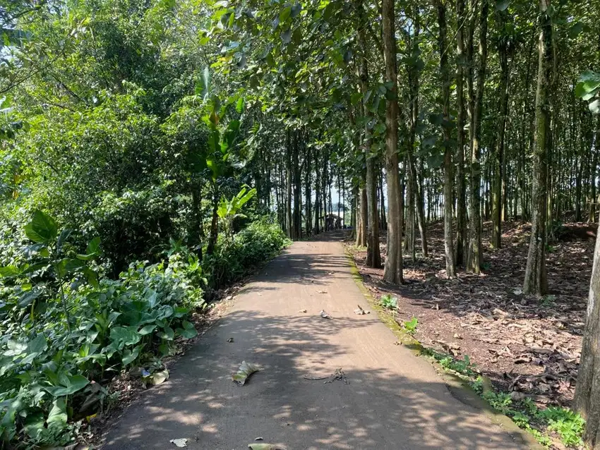 Dijual Tanah di Cibalung, Cijeruk – View Gunung Gede Pangrango murah