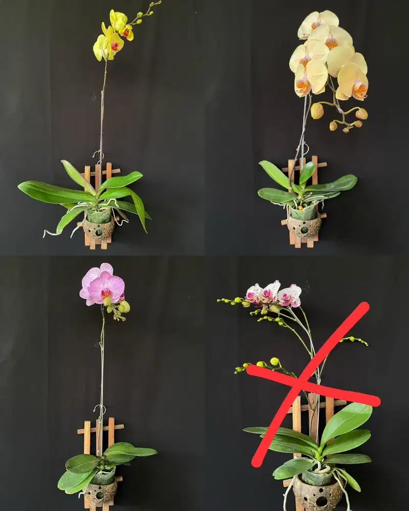 Loker ART PRT Pembantu Rewang Menginap