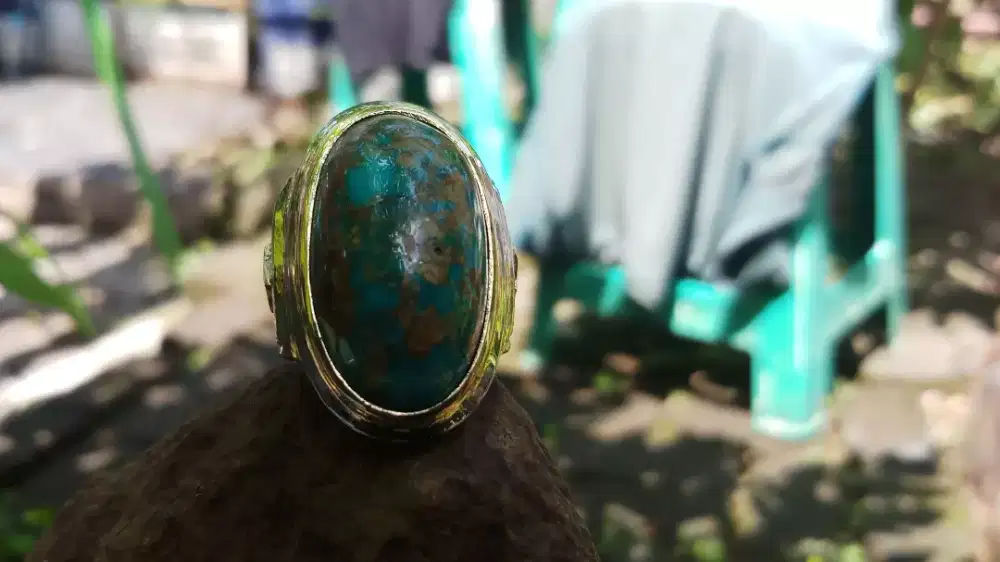 Pirus Persia Blue Fancy