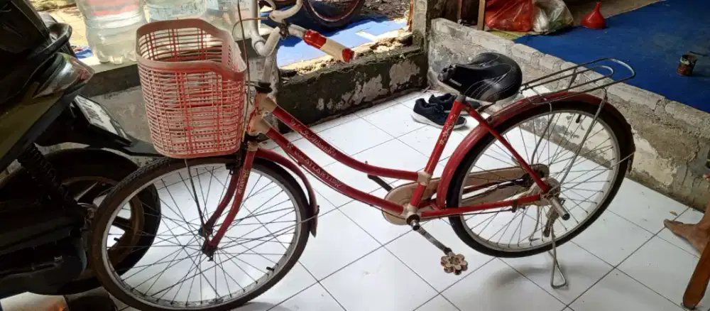 Sepedah Atlantis  Dewasa