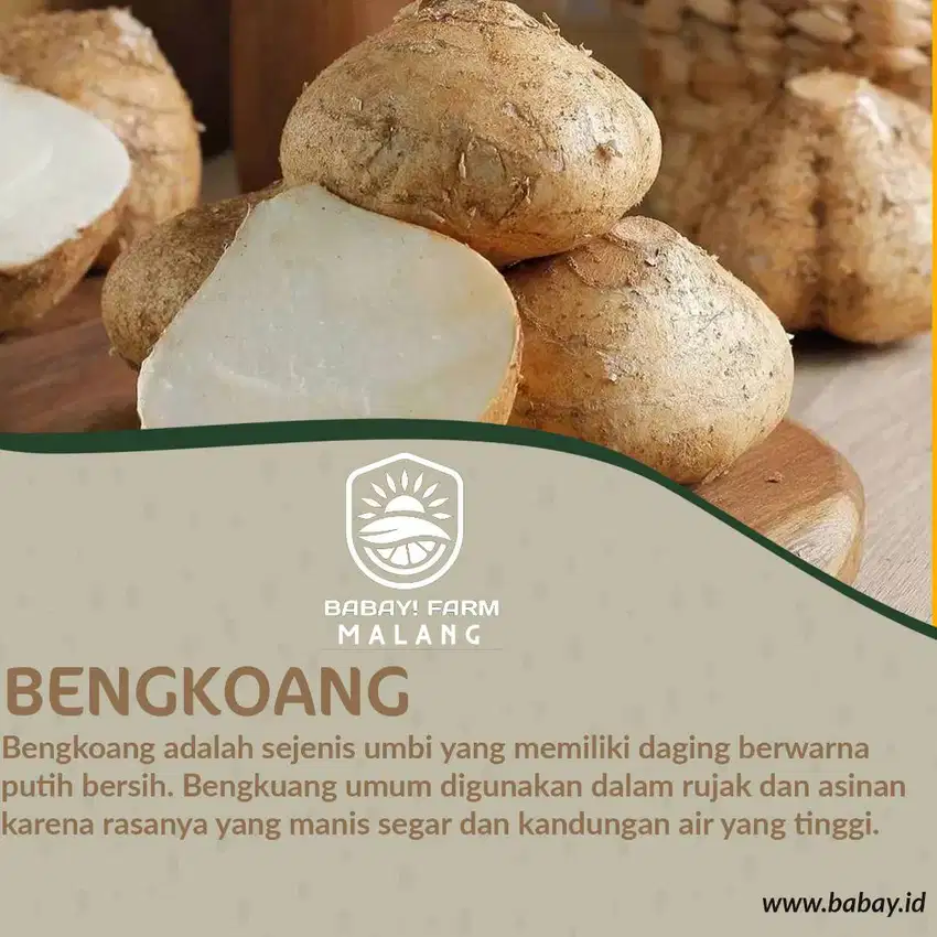 Buah bengkoang 500 gr / bengkuang 1 kg
