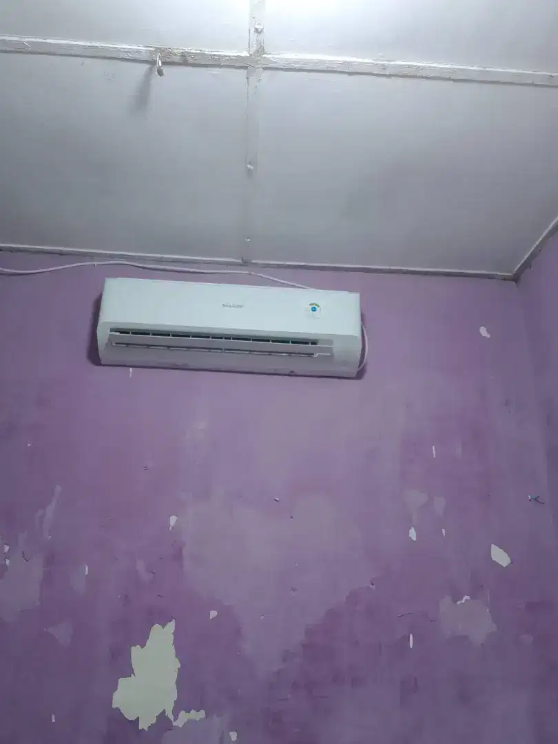 AC sharp 1/2 PK