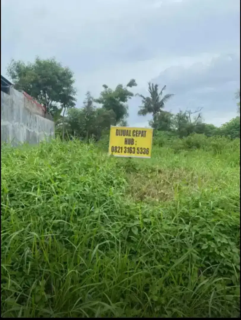 DIJUAL Murah Tanah Siap Bangun Banyuwangi Kota/Mendut Regency