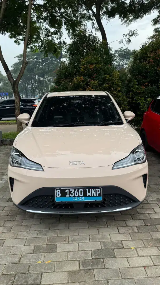 Neta V-II 2024Neta V-II 2024