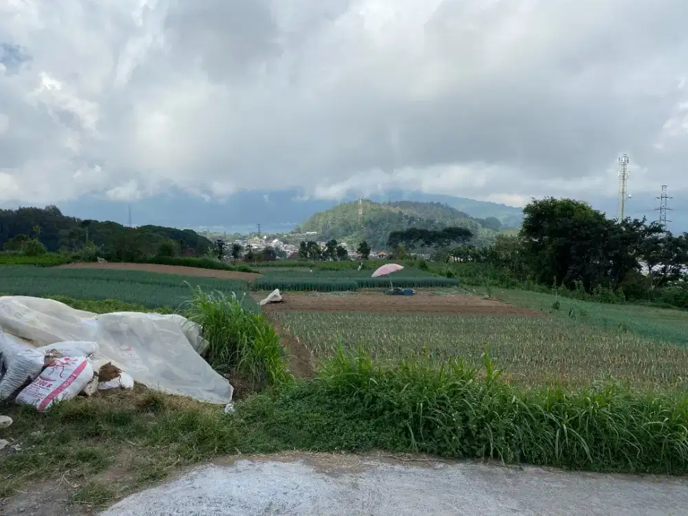 Jual tanah 4900m2 / 49 are SHM milik sendiri, bedugul, baturiti, tbn