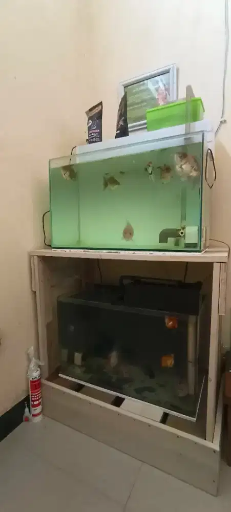 Aquarium Fullset Paling Murah