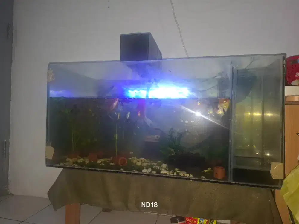 Aquarium + ikan dll