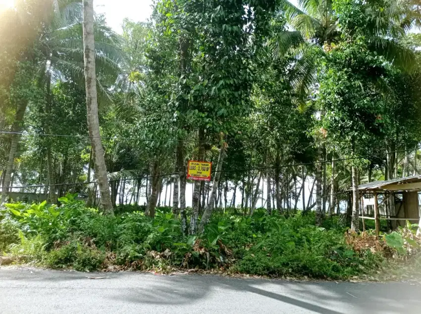 Dijual Tanah Pinggir Pantai Krui, Pesisir Barat