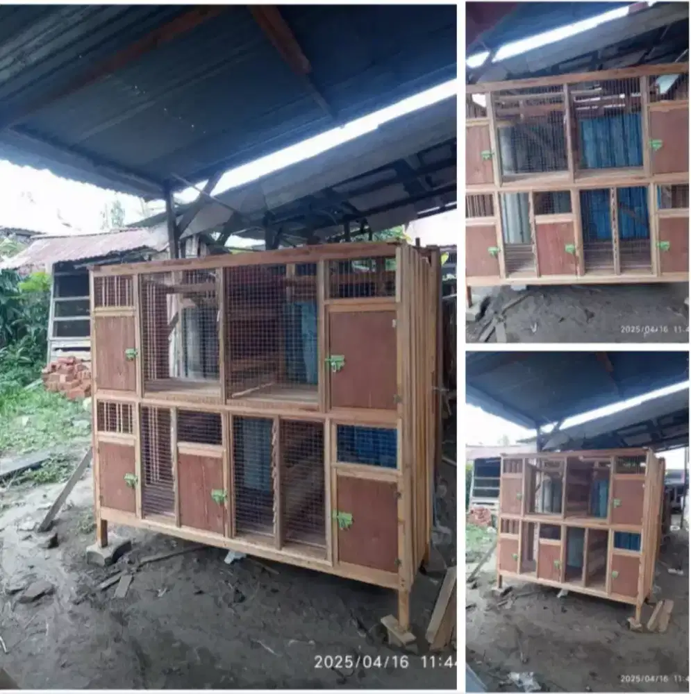 kandang 5 pintu