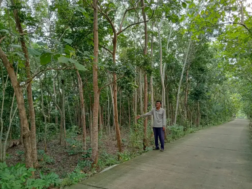 Jual tanah View  kota Bantul