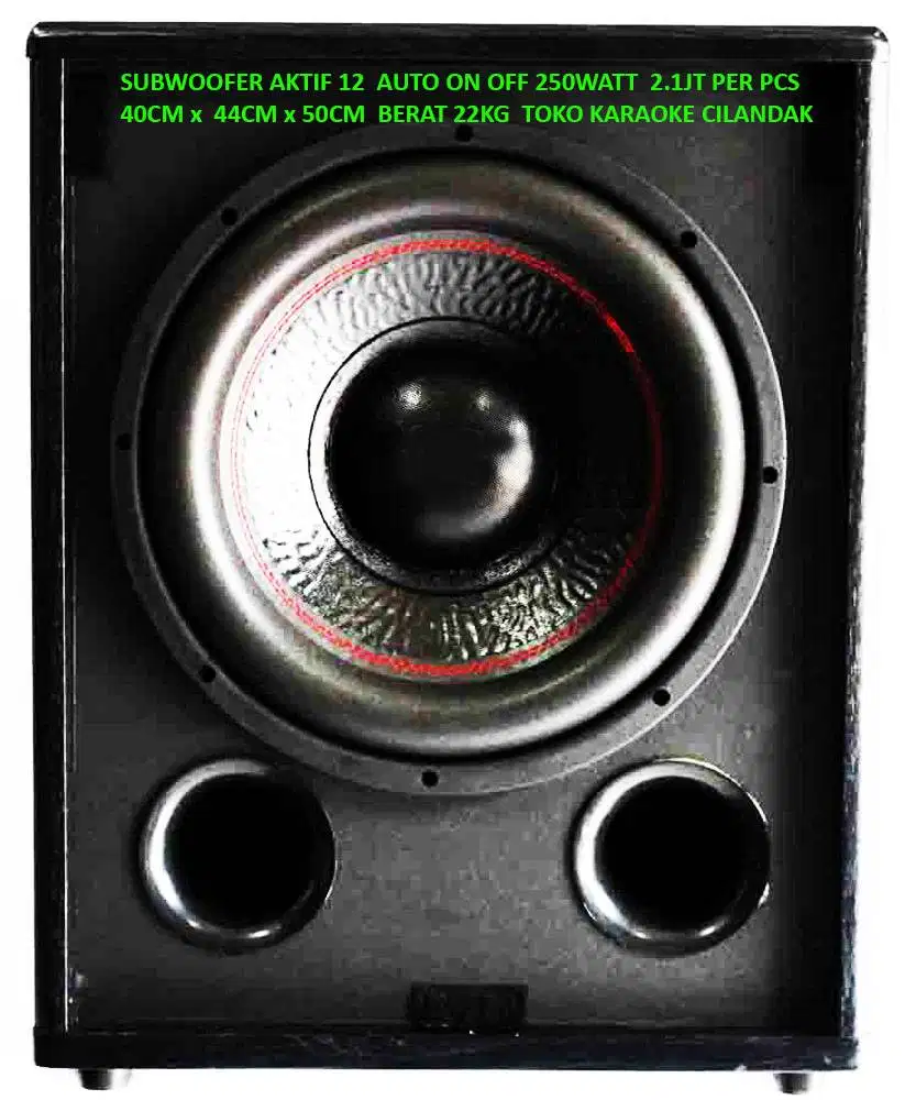 SUBWOOFER AKTIF 12 AUTO ON OFF 250WATT   SUB BASS  pada system karaoke