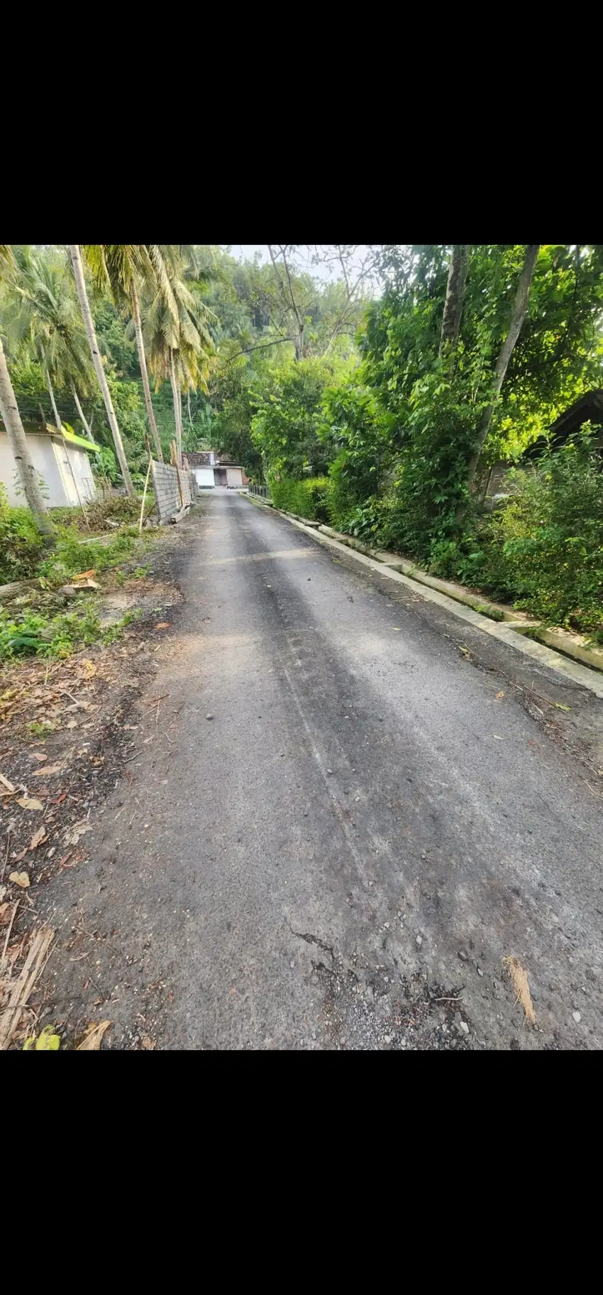 JUAL TANAH KULONPROGO DI SENDANGSARI PENGASIH