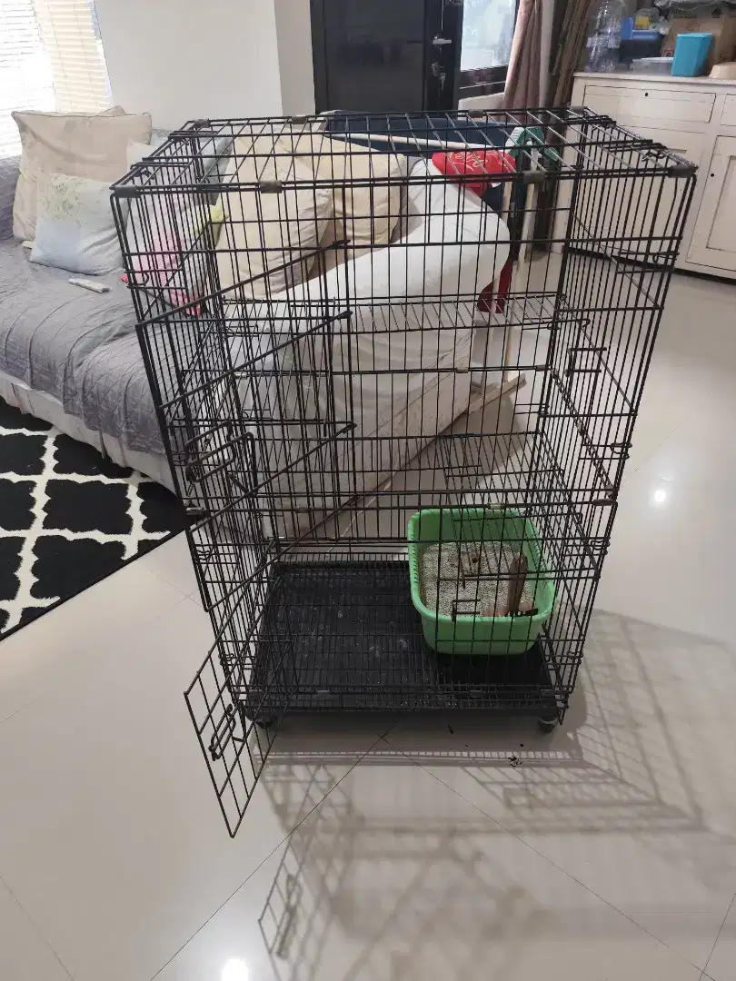 Kandang kucing bertingkat second murah