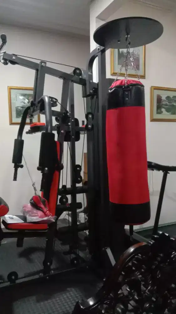 Home gym samsak tinju