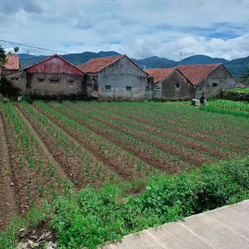 Dijual-tanah dengan view memanjakan mata cocok untuk bikin-vila/rumah
