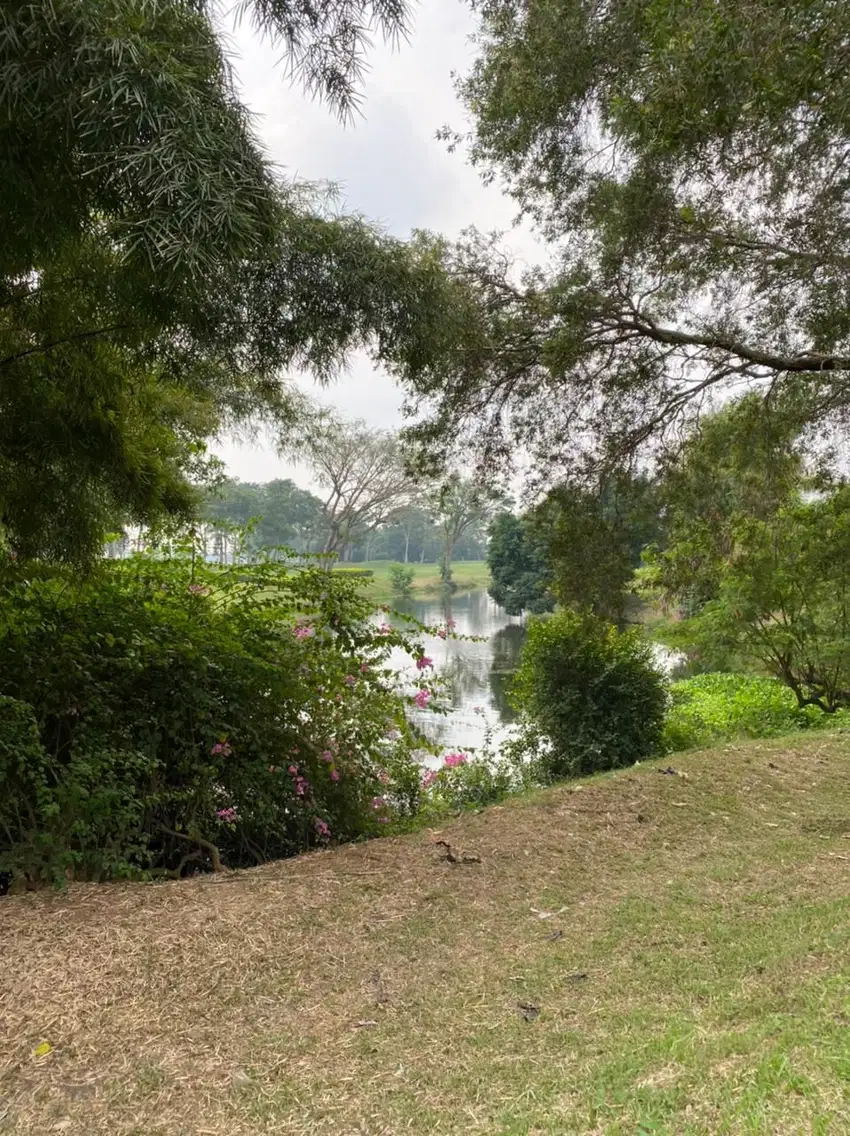 Kavling Tanah Luas di Suvarna Sutera Cluster Padi