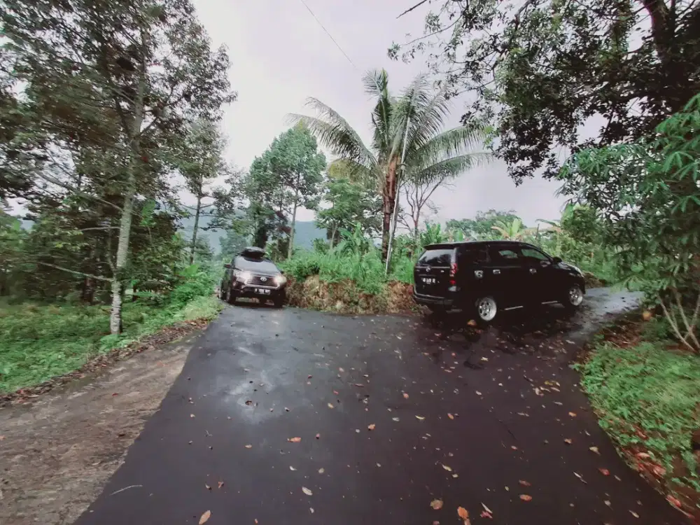 TANAH KEMUNING KARANGANYAR