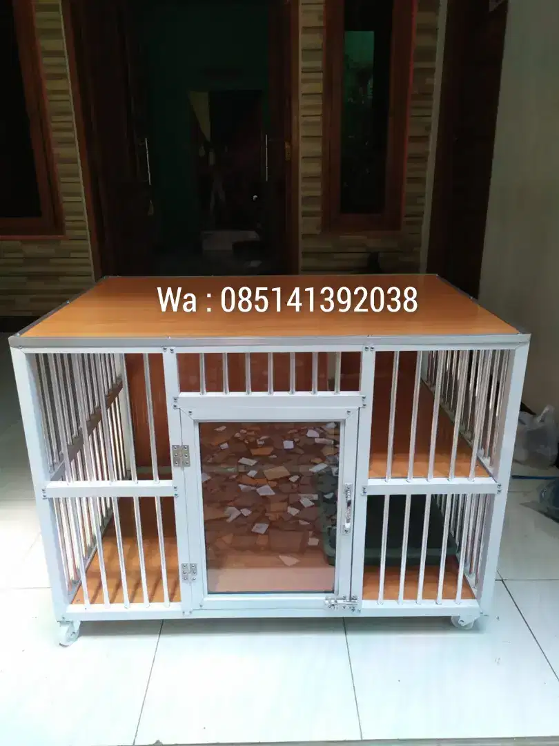 Kandang kucing dengan desain unik dan praktis