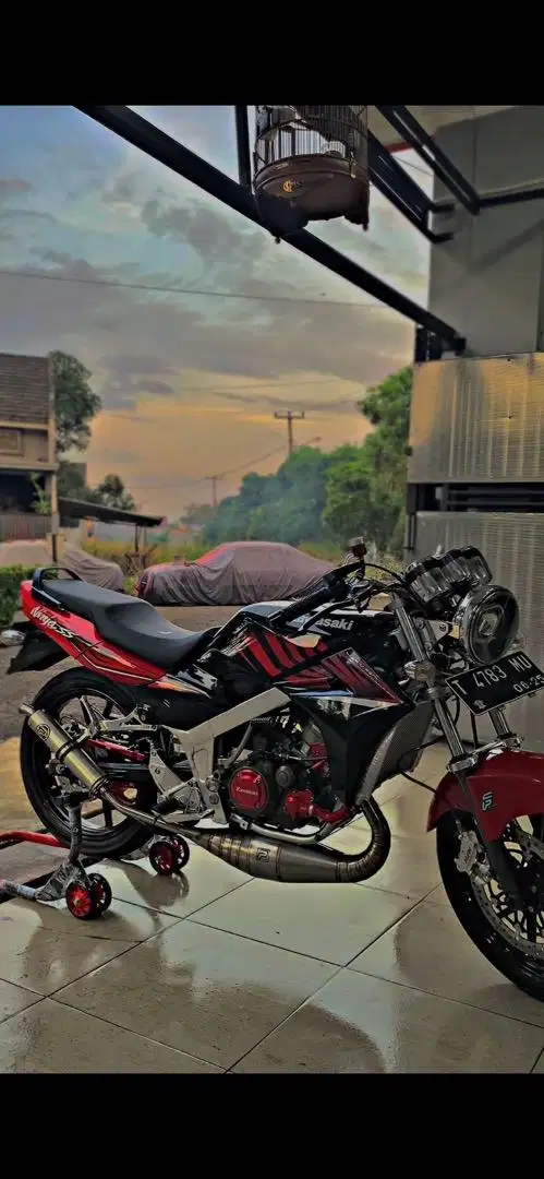 Ninja ss zebra asli 204