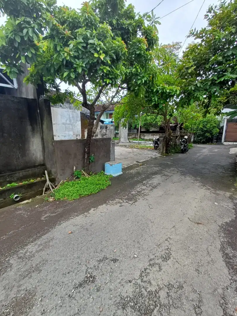 TANAH LANGKA 1 ARE BADAK AGUNG RENON DEKAT JLN UTAMA