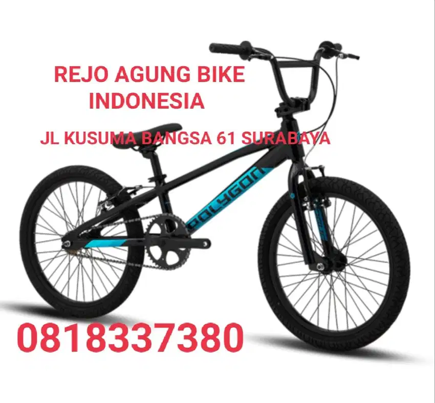 POLYGON BMX ROGUE NEW22