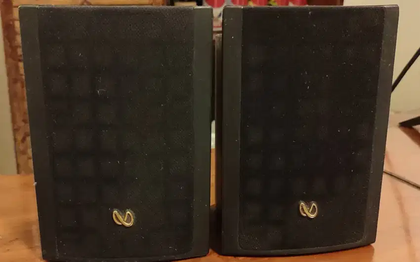 Infinity Minuette MPS speaker