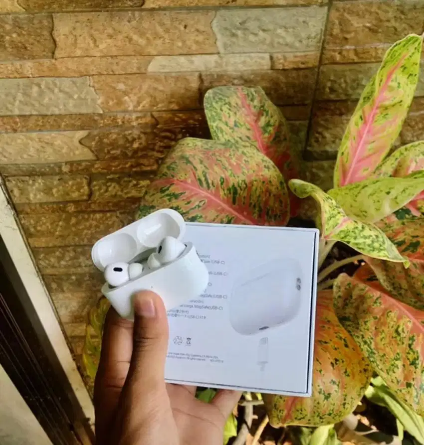Airpods Pro gen 2 type C