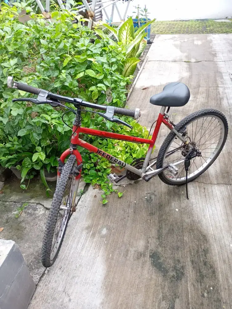 Sepeda federal pussy cat