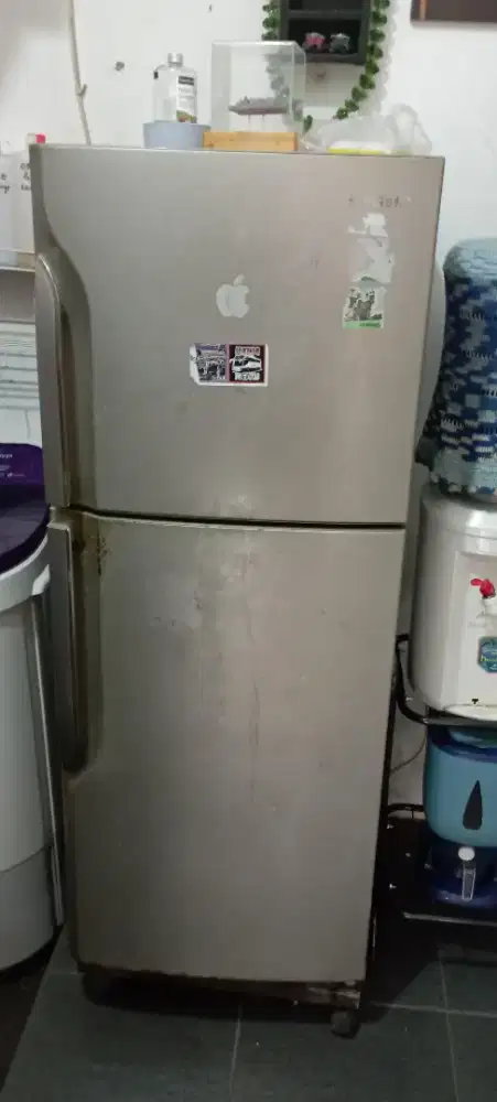 Kulkas Samsung 2 pintu - normal