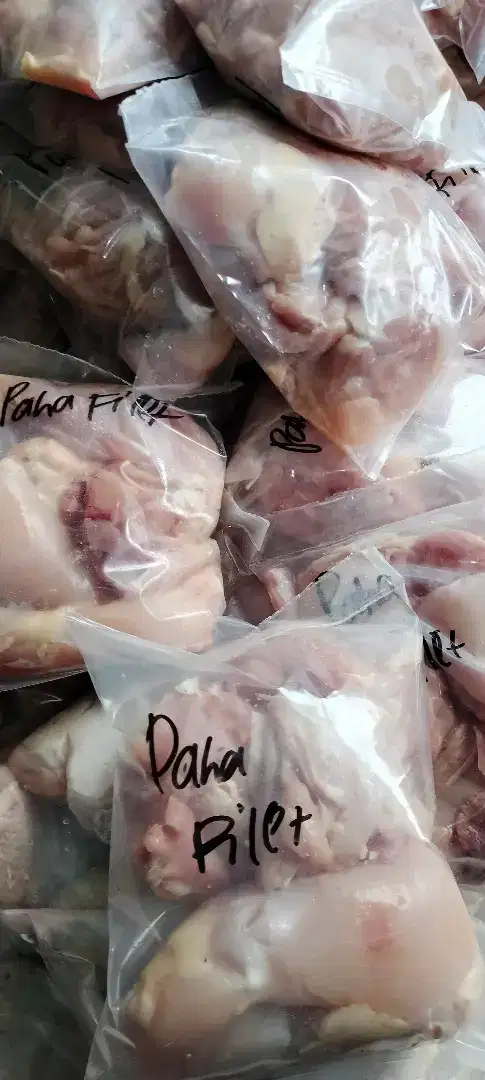 Jual aneka ayam potong