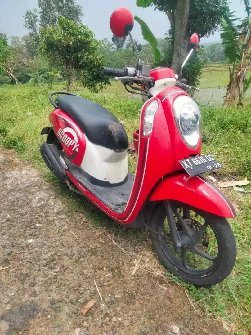 Scopy komplit pjk off plt kalimantan timur