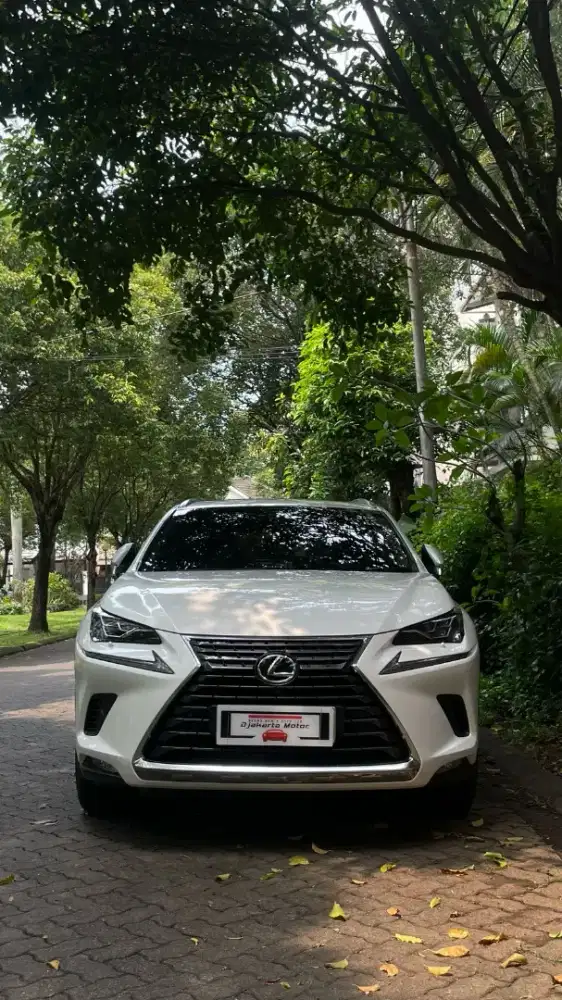 LEXUS NX 300 LUXURI AT 2019