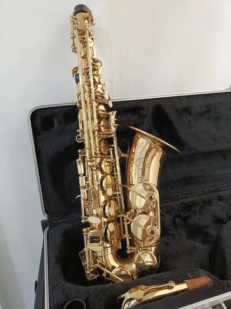 Sax Alto J Michael - Musik