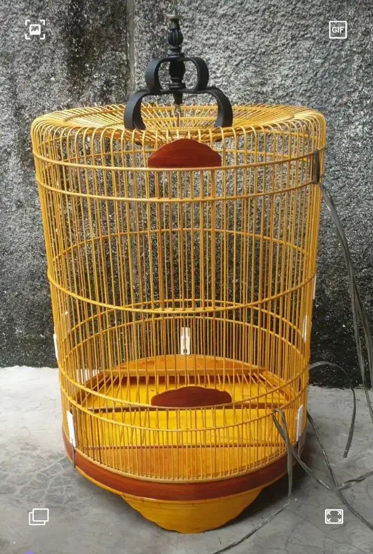 Sangkar murai baru knock down