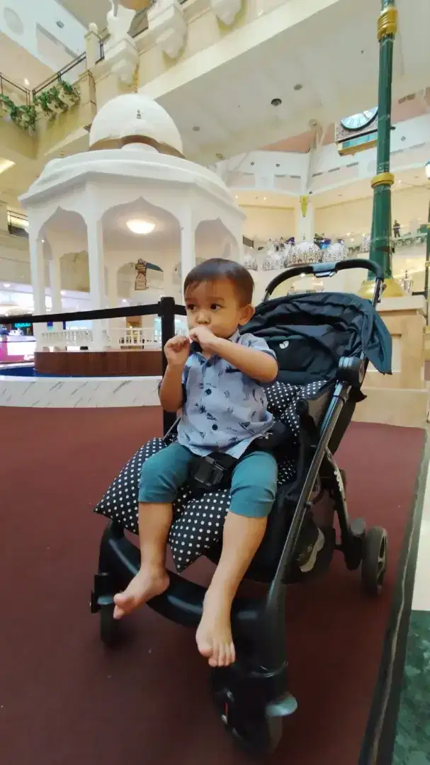 Joie Stroller Muze LX Travel System