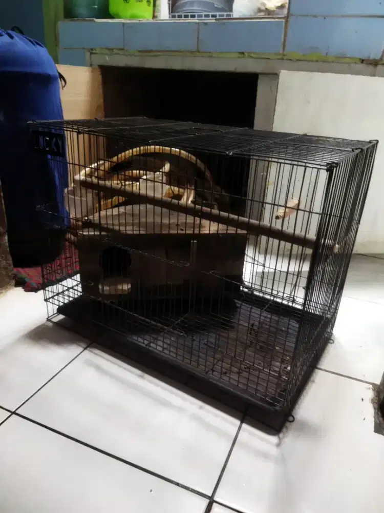 DIJUAL kandang Burung Love Bird