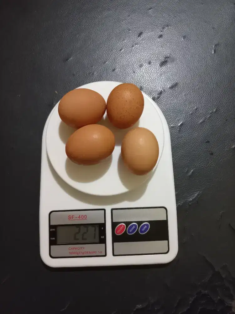 Timbangan Dapur Digital SF400