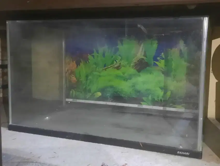 AKUARIUM IKAN / AQUARIUM IKAN