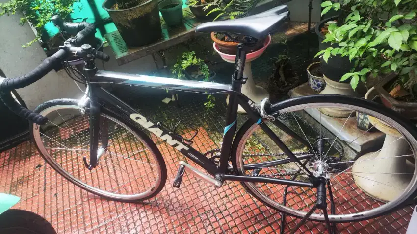 Balap GIANT TCR Allu