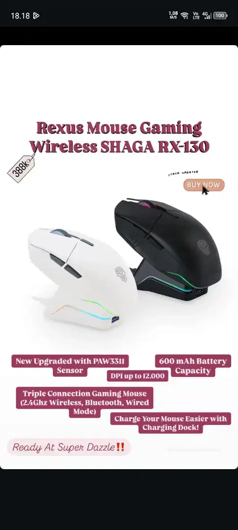 Mouse rexus Shaga