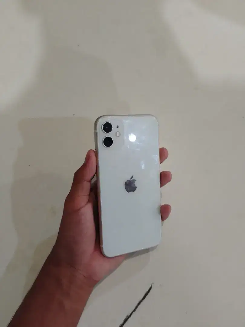 iPhone 11 Resmi Beacukai