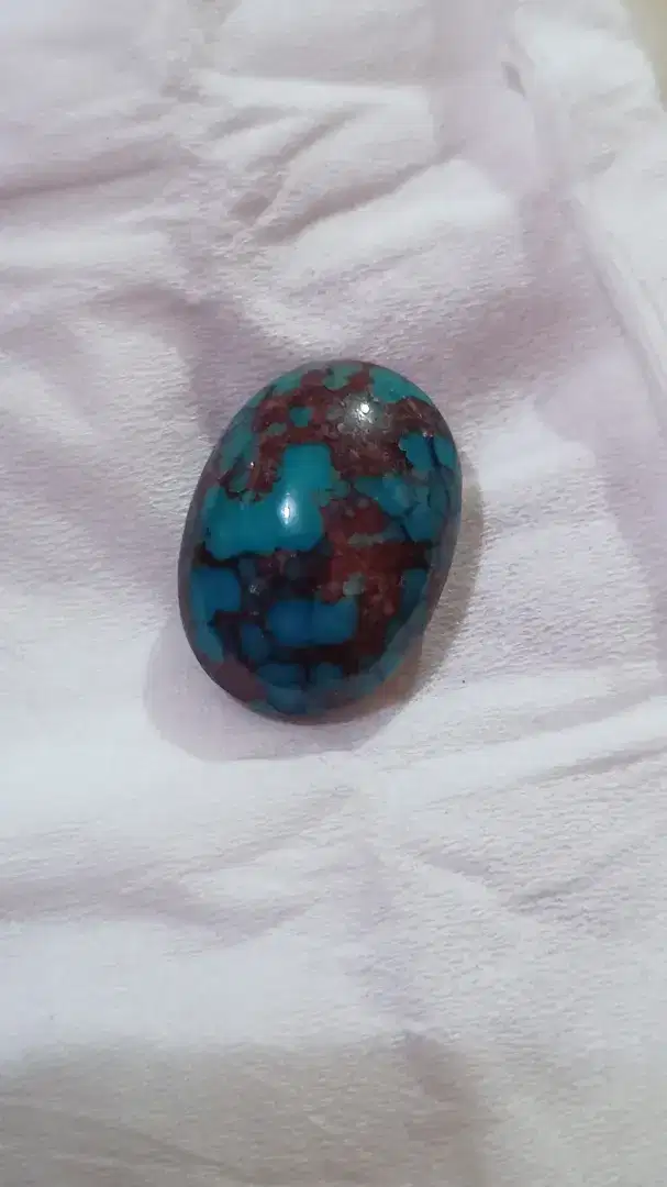 Pirus Persia Biru ceplok kuro mewah full daging atas bawah
