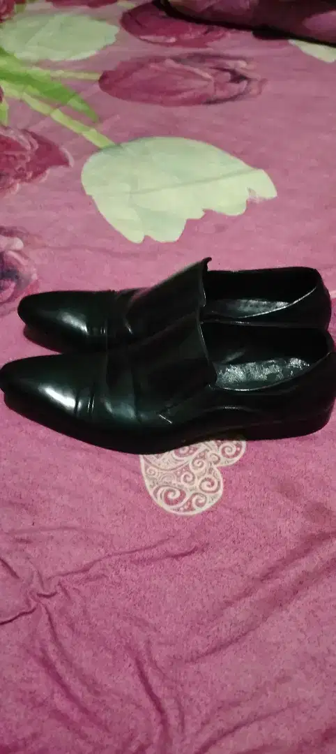 Di jual sepatu TODS
