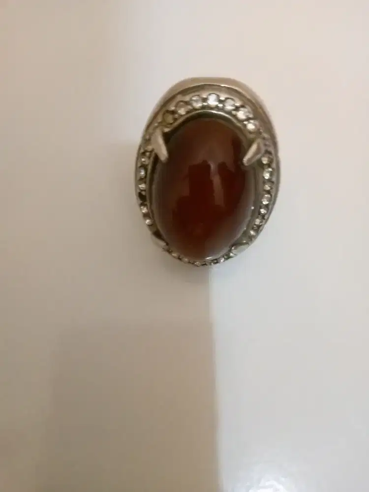 Red Rafflesia Bengkulu