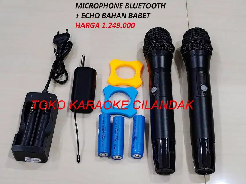 MICROPHONE WIRELESS SIMPLE 2MIC