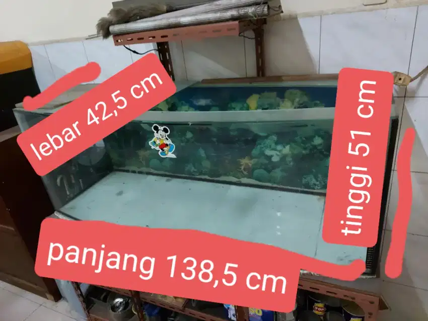 Dijual akuarium bekas ukuran 138,5 cm x 42,5 cm x 51cm