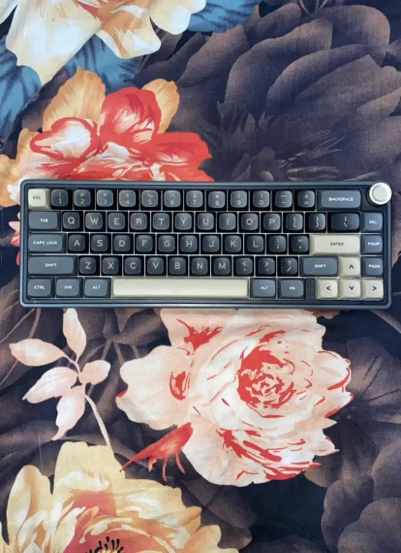 JUAL KEYBOARD GAMING ROYAL KLUDGE R65 WIRED