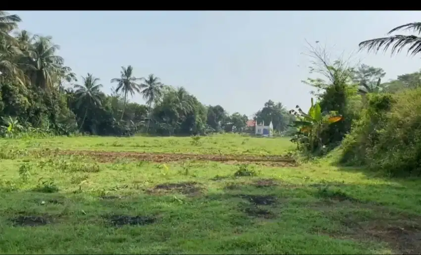 Bismillah dijual tanah kebun at ciseeng bogor