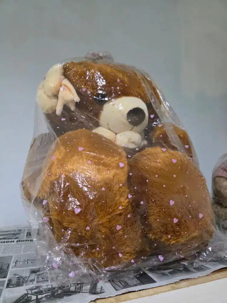 Boneka beruang besar .. kondisi baru .cuma di pajang