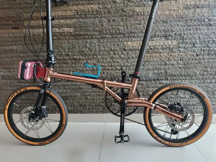 Fnhon Gust 10 Speed